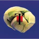 Radio Star - T Square album art