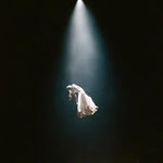 Twilight Zone - Ariana Grande album art