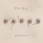 Panic (패닉) - BEOMGYU (범규) album art