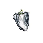 Stay Forever - Ween album art