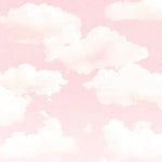 Blackout - Turnstile album art