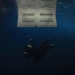 Birds of a Feather - Billie Eilish album art