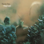 Rose Darling - Steely Dan album art