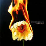 Flor de Fuego - Caramelos de Cianuro album art