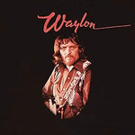 Don't You Think This Outlaw Bit's Done Got out of Hand - Waylon Jennings album art