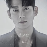 Last Love (끝사랑) - Tei (테이) album art