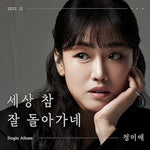 A Despondent Life (세상 참 잘 돌아가네) - Jeong Mi Ae (정미애) album art