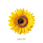 Sunflower (해바라기) (2026) - Gavy NJ (가비엔제이) album art
