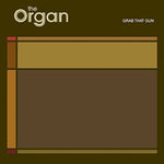 Steven Smith - The Organ album art