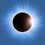 For What Its Worth - Placebo album art