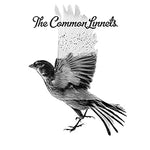 Calm After the Storm - The Common Linnets album art
