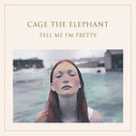 Cold Cold Cold - Cage the Elephant album art
