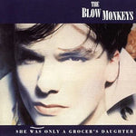 It Doesn't Have to Be This Way - The Blow Monkeys album art