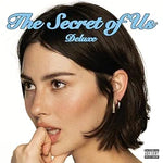Risk - Gracie Abrams album art