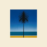 The Look - Metronomy album art