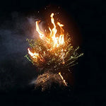 Praise - Elevation Worship album art