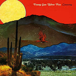 Kids - Young Gun Silver Fox album art