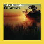 Amen Brother - The Winstons album art