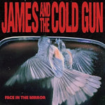 Above the Lake - James and the Cold Gun album art