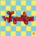 Teenage Dirtbag - Wheatus album art