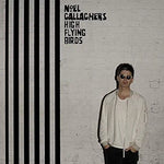 The Girl with the X Ray Eyes - Noel Gallagher's High Flying Birds album art