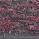 Damocles - Sleep Token album art