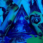 Rock On - 311 album art