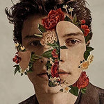 Lost in Japan - Shawn Mendes album art