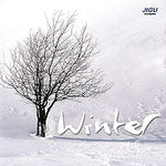 Winter Rain (겨울비) - Kim Jong Seo (김종서) album art