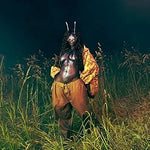 30 for 30 - SZA album art