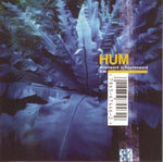 If You Are to Bloom - Hum album art