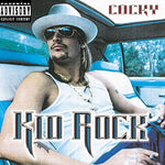 Picture (feat. Sheryl Crow) - Kid Rock album art