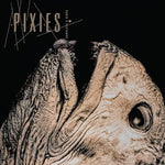 Tame (Live) - Pixies album art