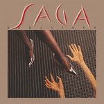 Misbehaviour - Saga album art