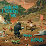 A Little Bit of Solidarity Goes a Long Way - And so I Watch You from Afar album art