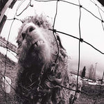 Daughter - Pearl Jam album art