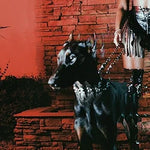 Mutt - Leon Thomas III album art