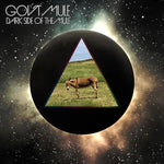 Monkey Hill - Gov't Mule album art