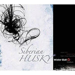 Water Ball - Siberian Husky (시베리안허스키) album art