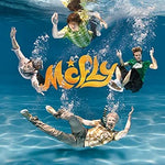 We Are the Young - McFly album art