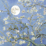 Moonboy - Jvke album art
