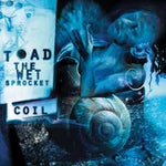 Crazy Life - Toad the Wet Sprocket album art