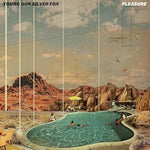 Stevie & Sly - Young Gun Silver Fox album art