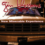 Found Out About You - Gin Blossoms album art