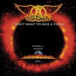 I Don't Want to Miss a Thing - Aerosmith album art