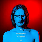Permanating - Steven Wilson album art