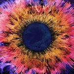 The Color of the Sky - Thrice album art