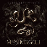 Personae Non Gratae - Meshuggah album art