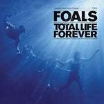 Black Gold - Foals album art
