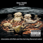 Take a Look Around - Limp Bizkit album art